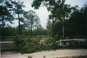 fence covered with debris after storm