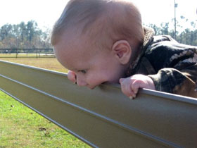 Teething Baby
