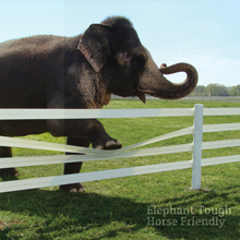 Centaur Fencing is Elephant Tough, Horse Friendly