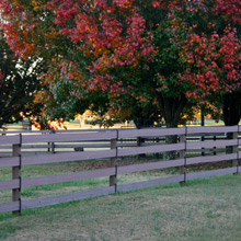 Brown Centaur® HTP® Fence on a Fall Day