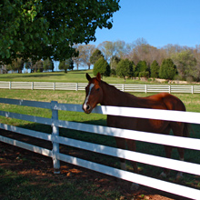 Centaur® HTP® Horse Fence