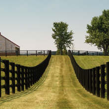 Fence Line of Centaur 5" Rail in Black