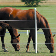 PolyPlus Safety-Coated Strand Fencing