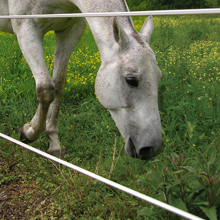 White Lightning® Electric Strand Fencing
