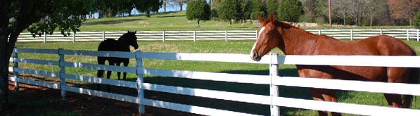 Horse Rail Fencing Products