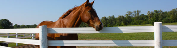 Sure-Fit® Horse Fence Accessories